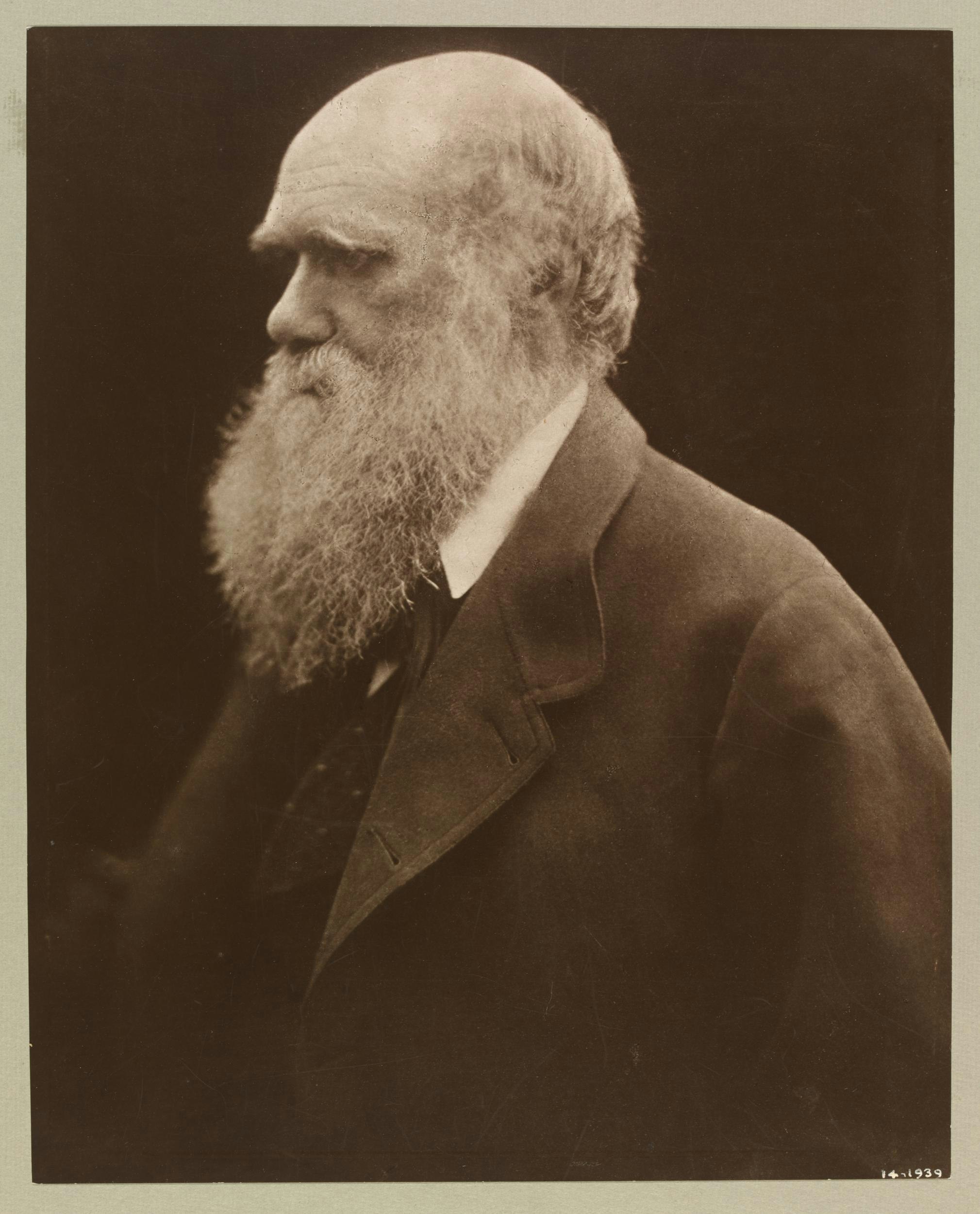Charles Darwin. Photographer: Julia Margaret Cameron, 1868 Victoria and Albert Museum, London (29383)