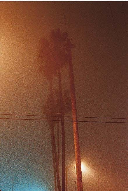 Tobias Zielony – Fotomuseum Winterthur