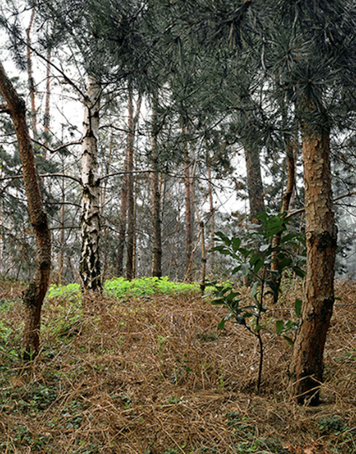 Yeregui Fotomuseum Winterthur