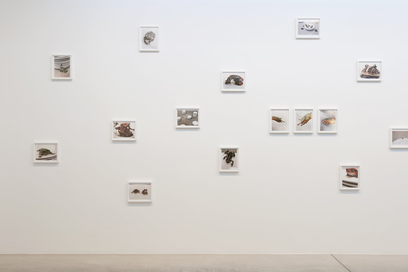 <div>© Fotomuseum Winterthur / Benedikt Redmann</div>