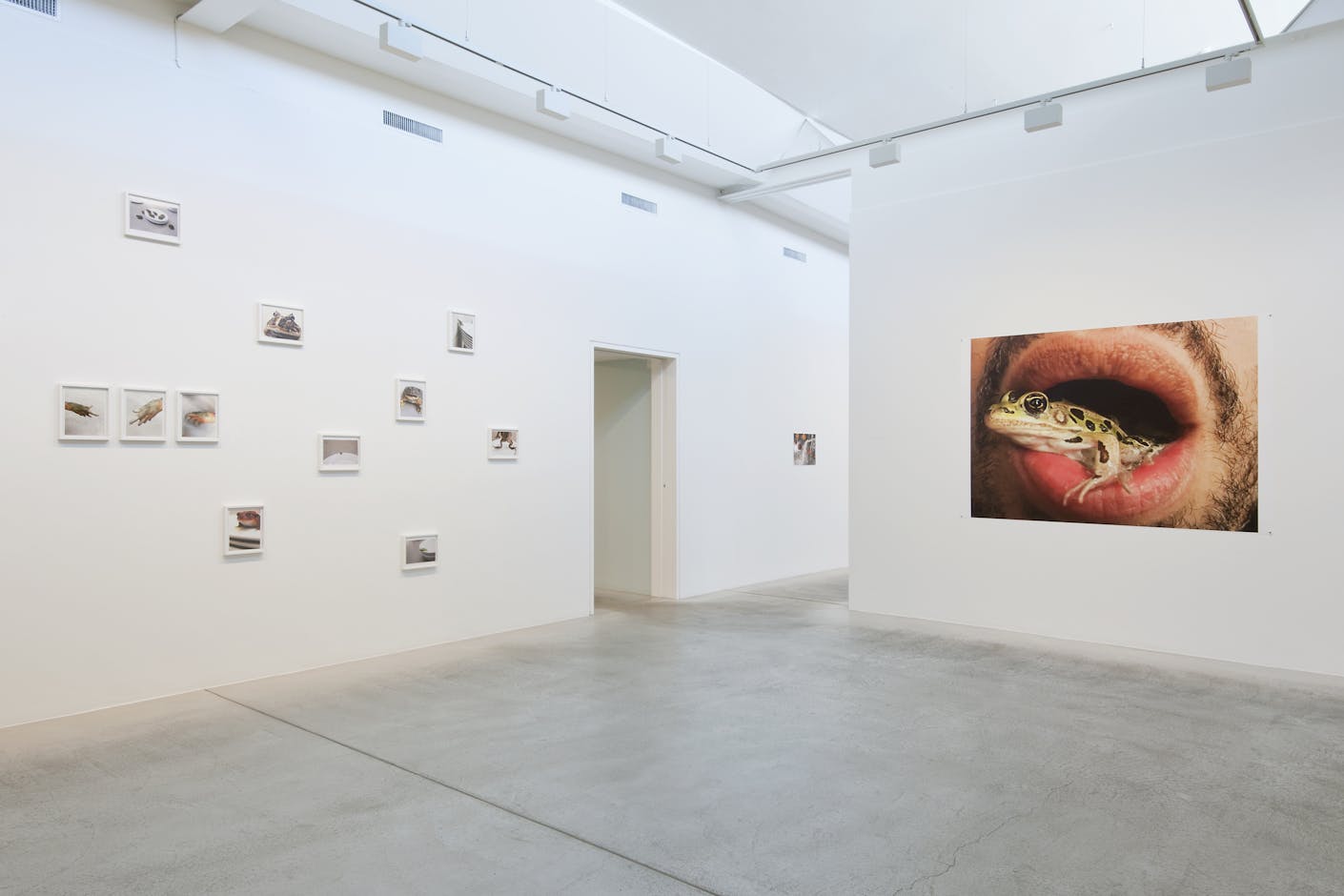 <div>© Fotomuseum Winterthur / Benedikt Redmann</div>