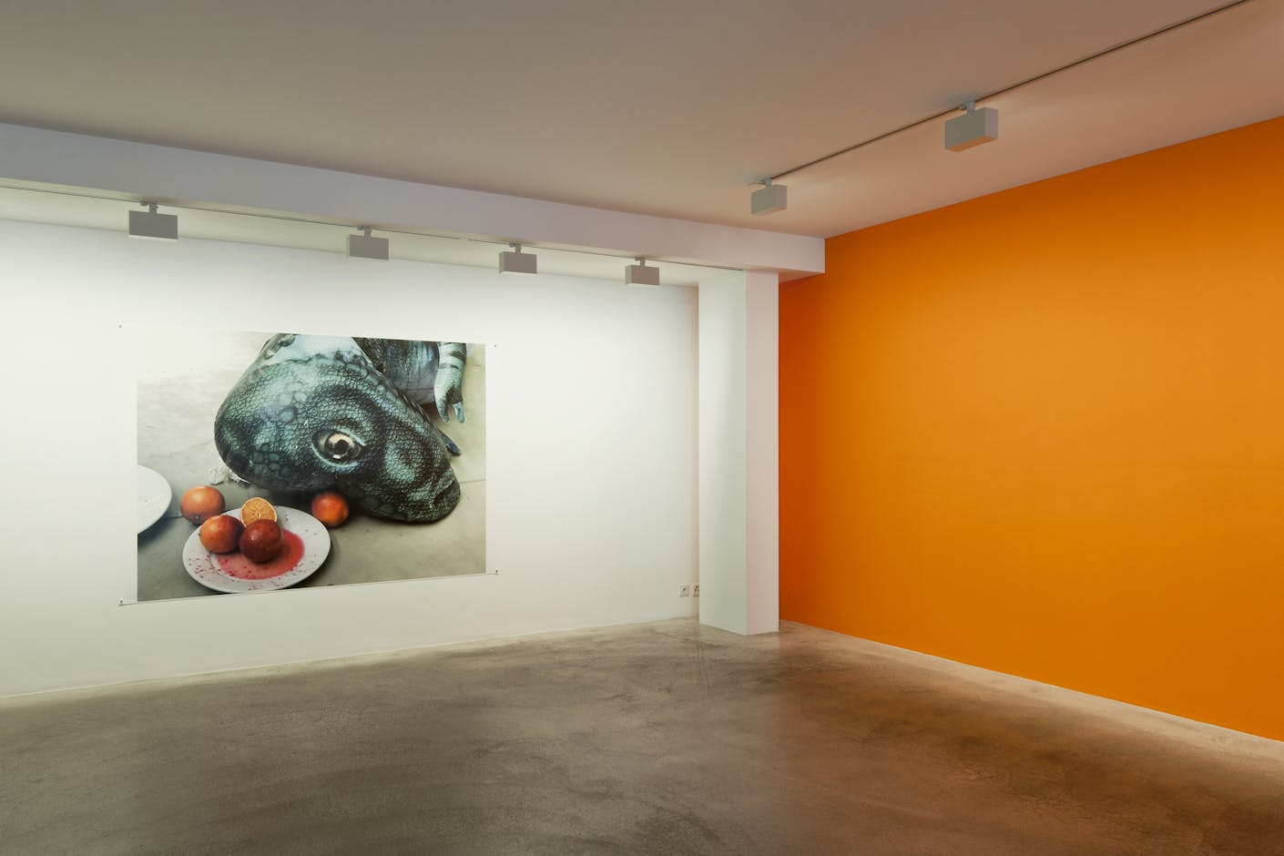 <div>© Fotomuseum Winterthur / Benedikt Redmann</div>