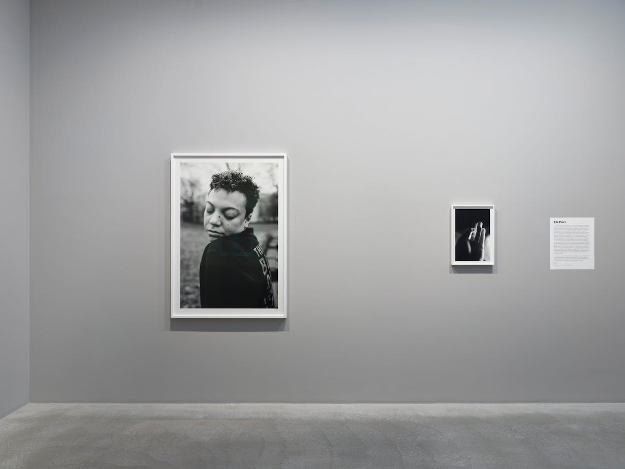 <div>Elle Pérez, <em>Nicole</em> und <em>t</em>, 2019. Installationsansicht <em>Orlando – Nach einem Roman von Virginia Woolf</em>, Fotomuseum Winterthur © Fotomuseum Winterthur / Conradin Frei</div>