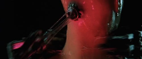 Screenshot from The Matrix, USA 1999, Andy & Larry Wachowski