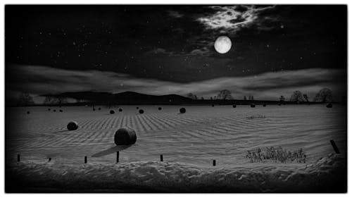 North Yankton, screenshot from Grand Theft Auto V, 2015, by Phil Rose