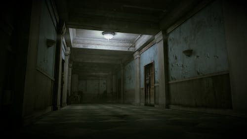 Come inside, screenshot from Last of Us, 2015, by 3kycat