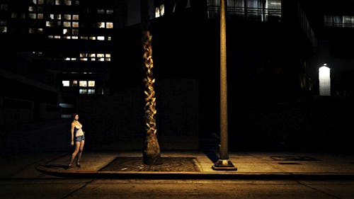 Untitled (Marathon Avenue), screenshot from Grand Theft Auto V, 2013, by Fernando Pereira Gomes