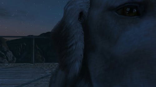 Sad Dog, screenshot from Grand Theft Auto V, 2015, by BRUCIE_47_