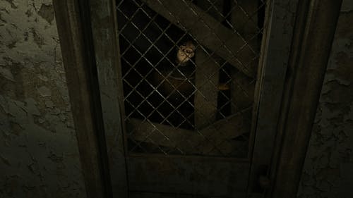 Mors Vincit Omnia, screenshot from Outlast, 2014, by Triststar