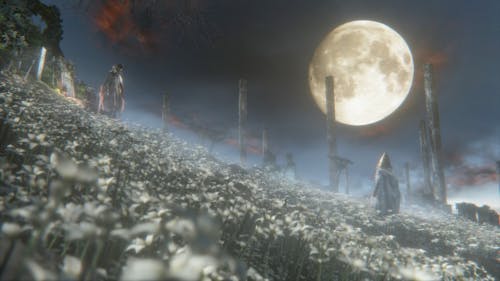 From Death as Metamorphosis of Life, screenshot from Bloodborne , 2015, by Triststar