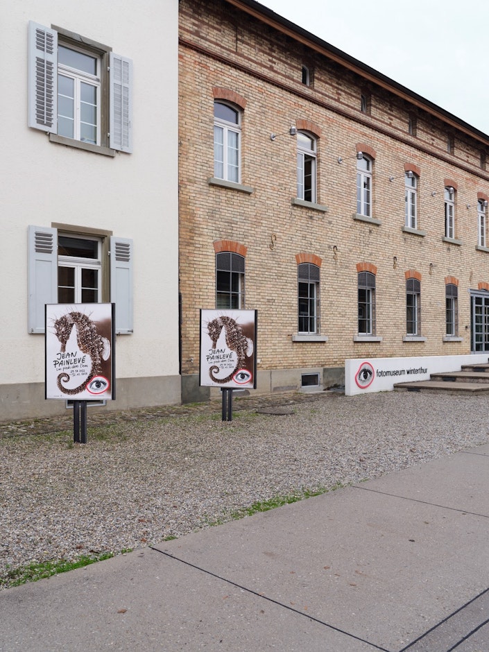 <div>Installation view <em>Jean Painlevé – Feet in the Water</em>, Fotomuseum Winterthur © Fotomuseum Winterthur / Conradin Frei</div>