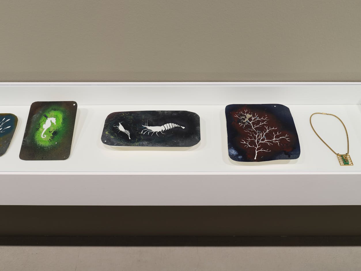 <div>Installationsansicht <em>Jean Painlevé – Les pieds dans l’eau</em>, Fotomuseum Winterthur ©</div><div>Fotomuseum Winterthur / Conradin Frei</div>