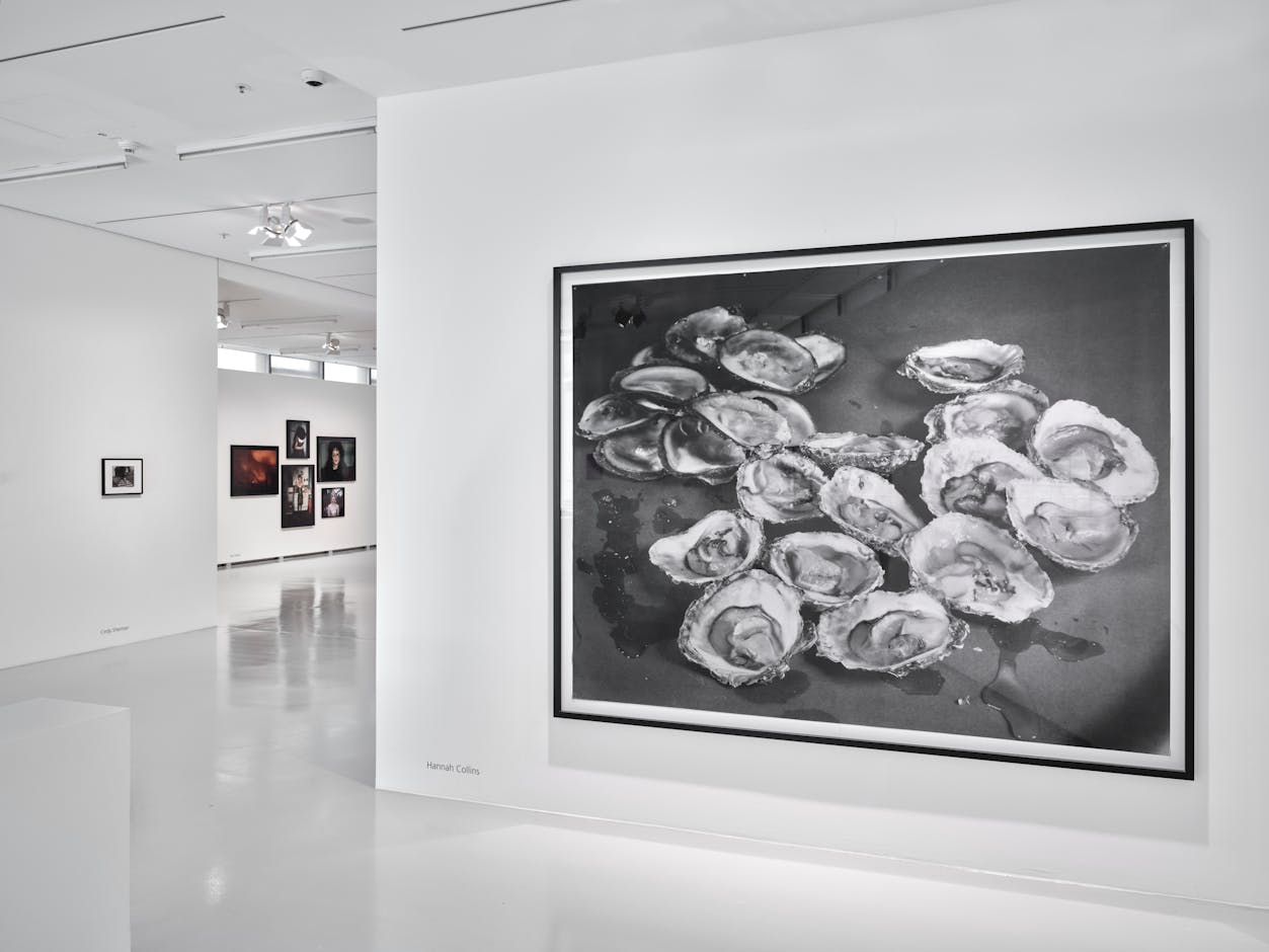 <div>Installation view <em>A Show of Affection – Collection Constellation 2</em> © Kunststiftung DZ Bank / Norbert Miguletz</div>