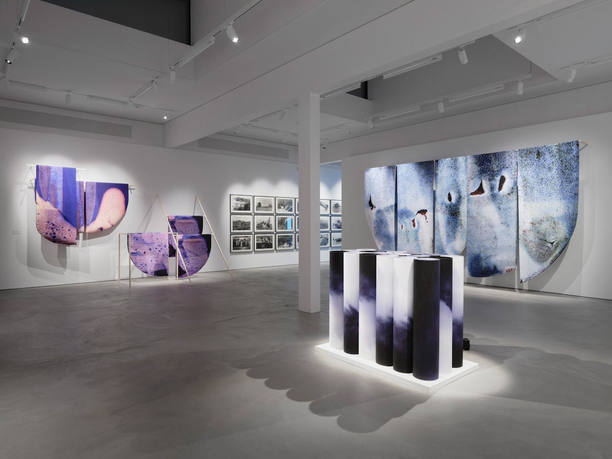 <div>Fotomuseum Winterthur / Conradin Frei</div>