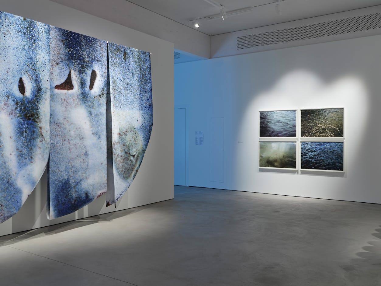 <div>Fotomuseum Winterthur / Conradin Frei</div>